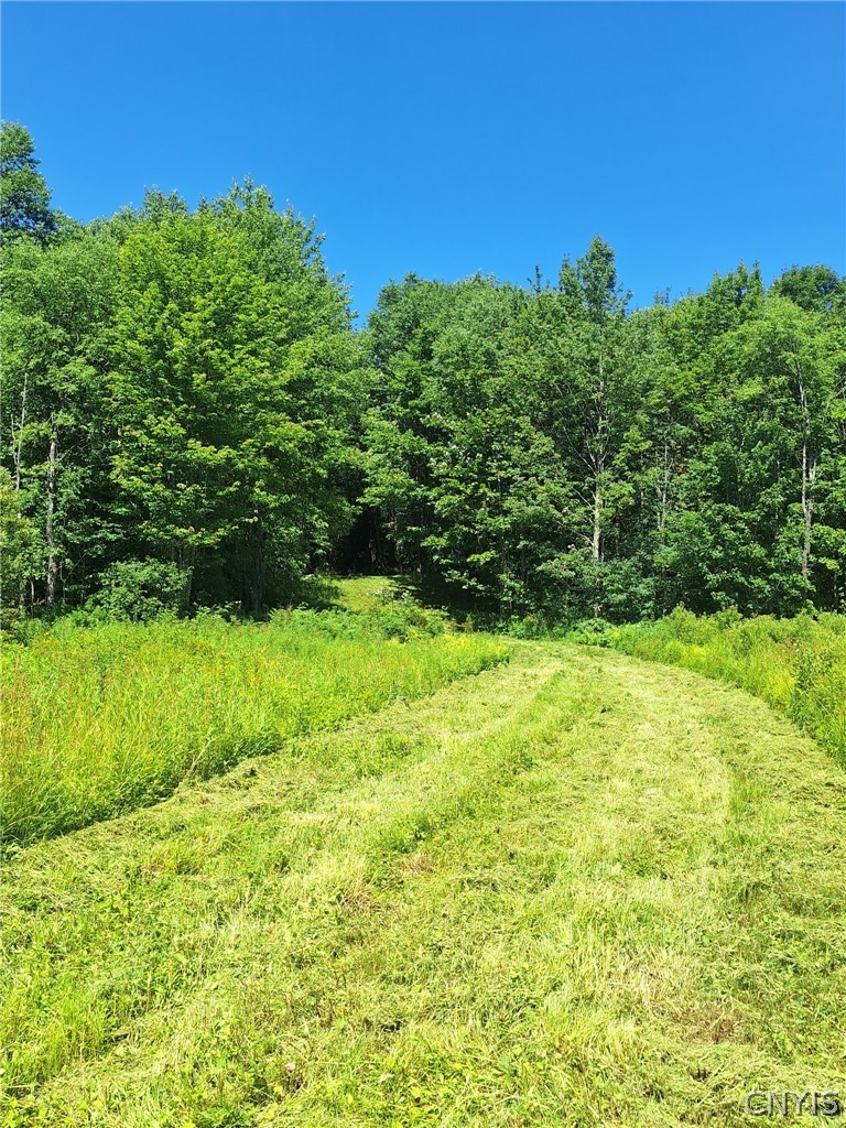 6 Streiff Road Rome, NY 13440 - Photo 3 of 17