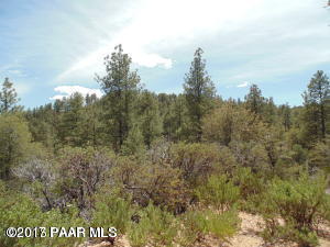 1610 High Valley Ranch Road Prescott, AZ 86303 - Photo 1 of 18 High Valley Ranch