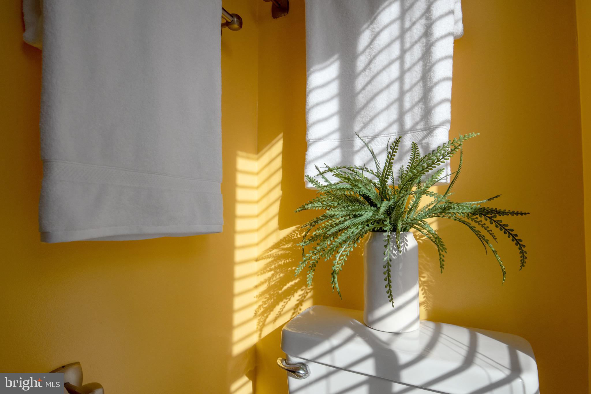 514 Chesapeake Avenue Annapolis, MD 21403 - Photo 57 of 79