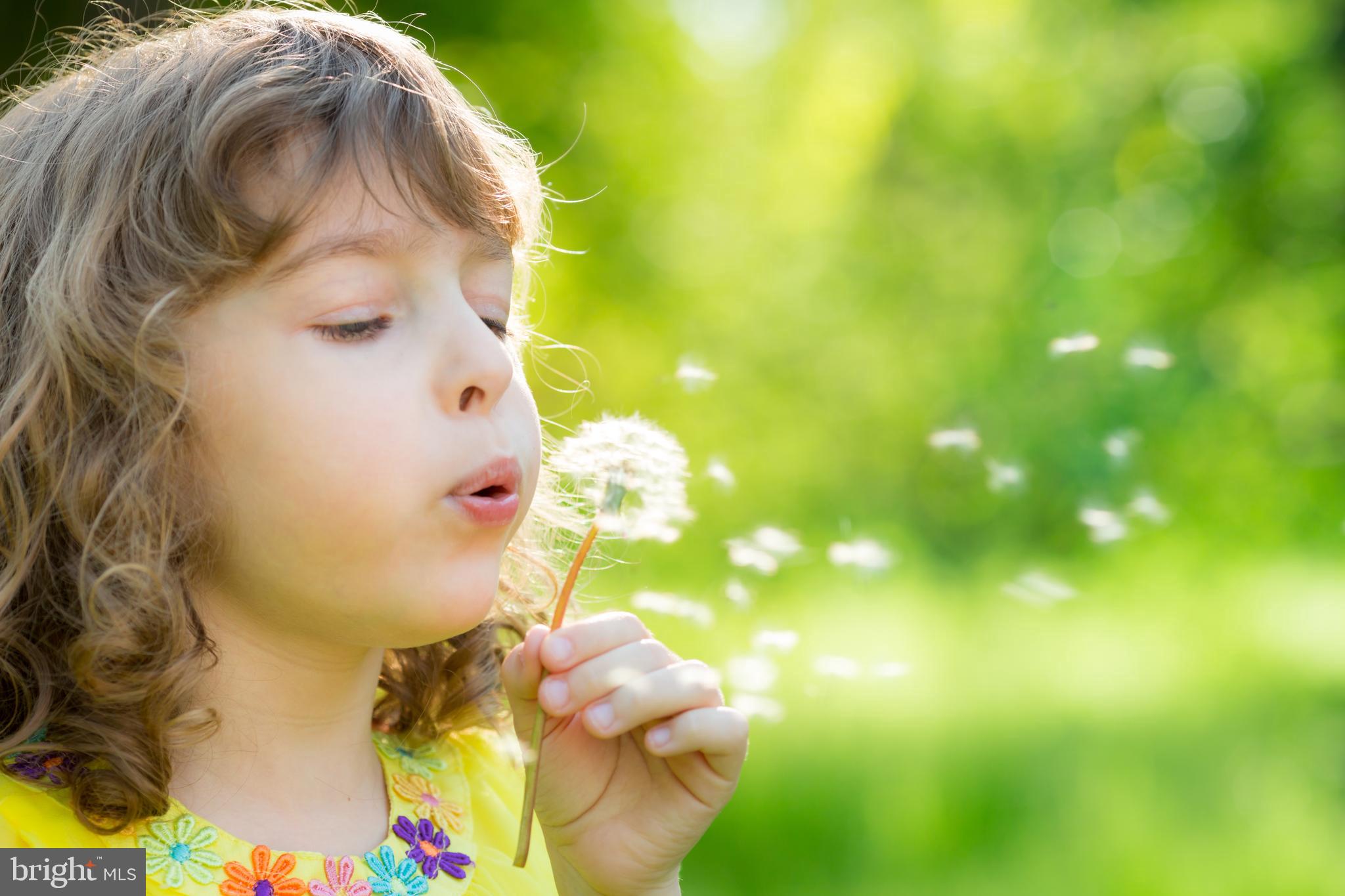 514 Chesapeake Avenue Annapolis, MD 21403 - Photo 74 of 79