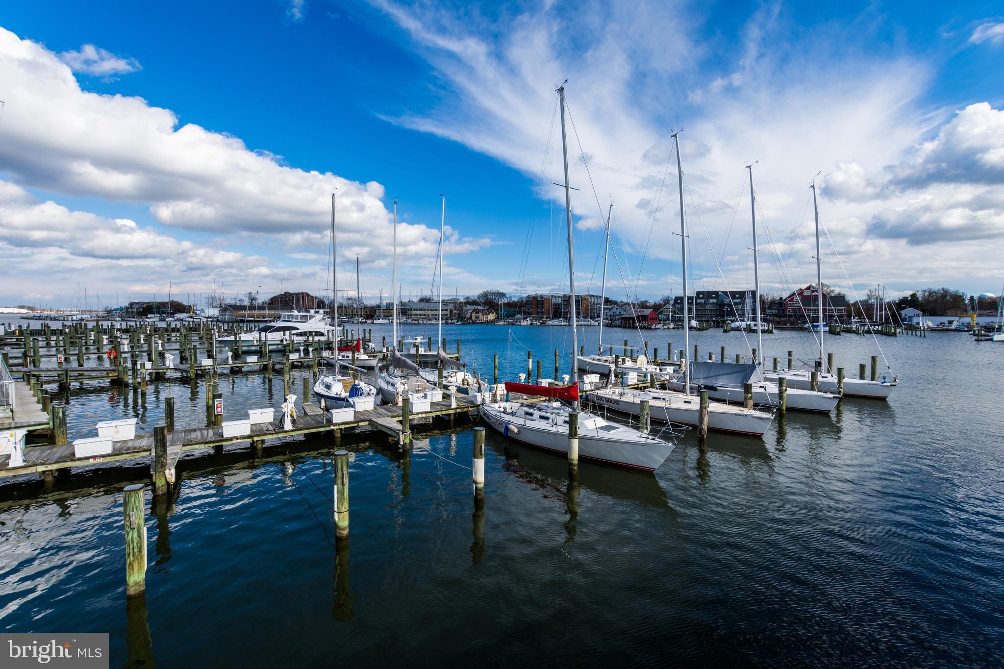 514 Chesapeake Avenue Annapolis, MD 21403 - Photo 75 of 79