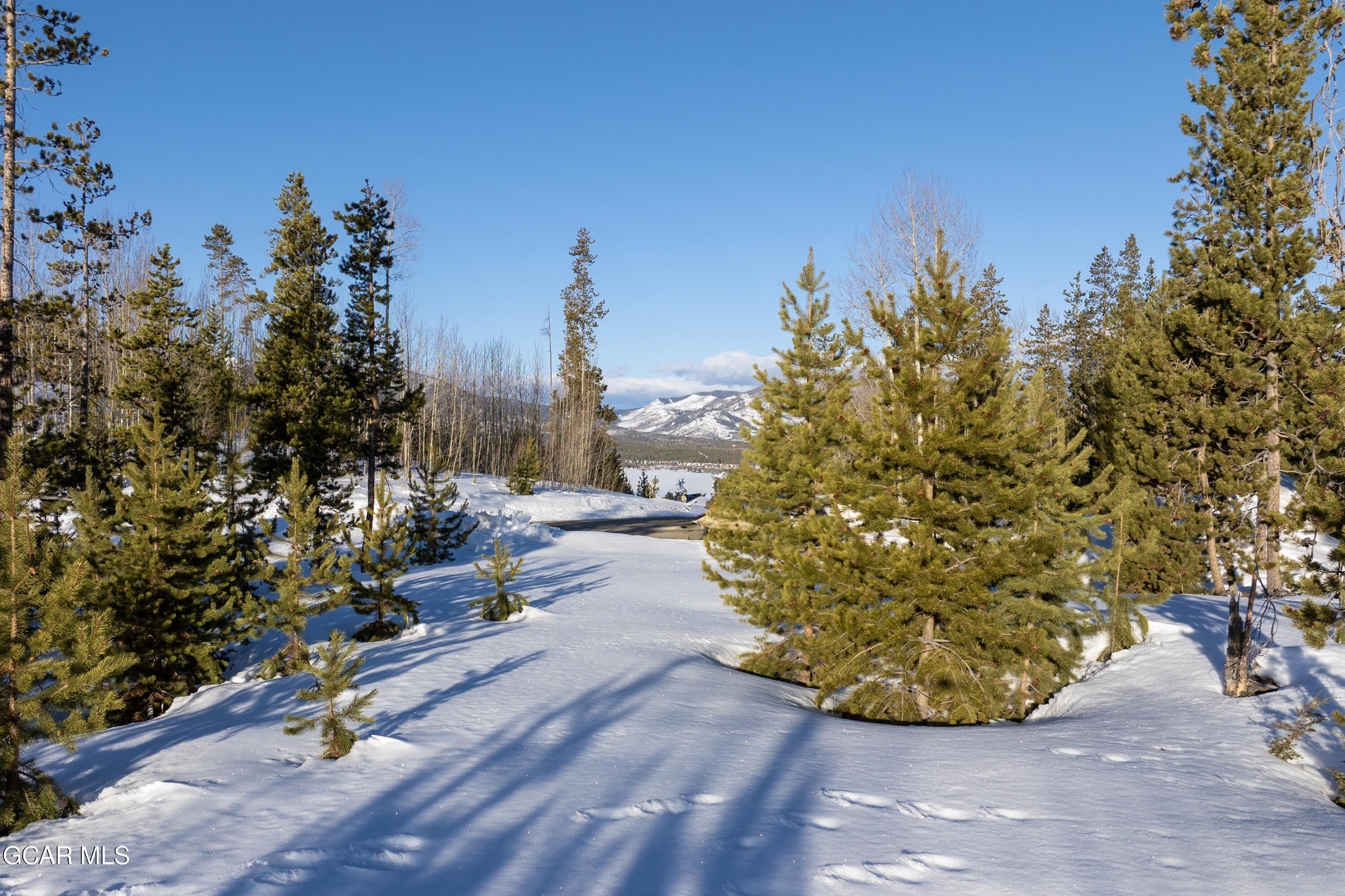 222 Bridger Trace Fraser, CO 80442 - Photo 15 of 18 a view of a park with potted plants