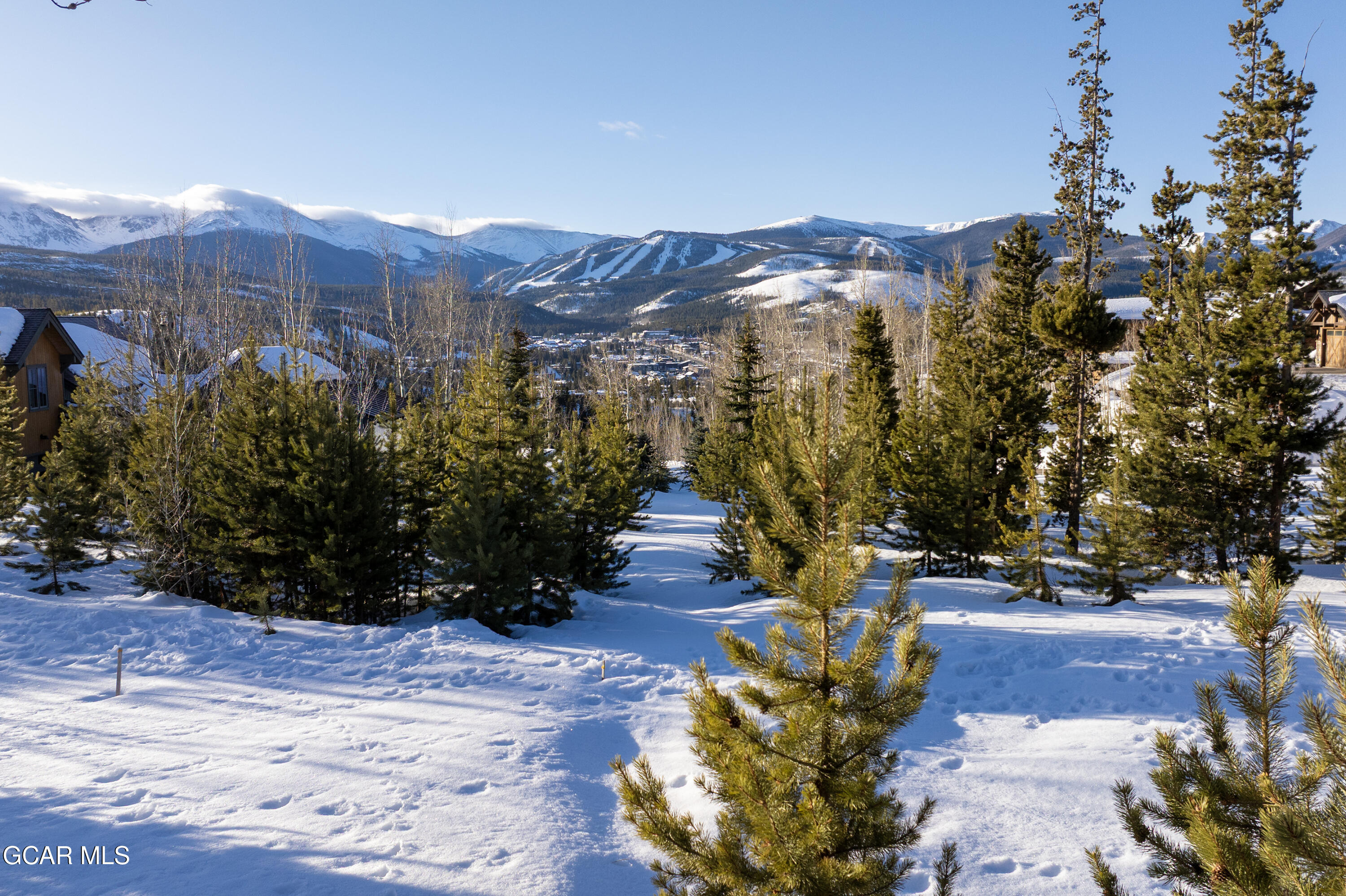 222 Bridger Trace Fraser, CO 80442 - Photo 16 of 18 a view of a city with flower plants