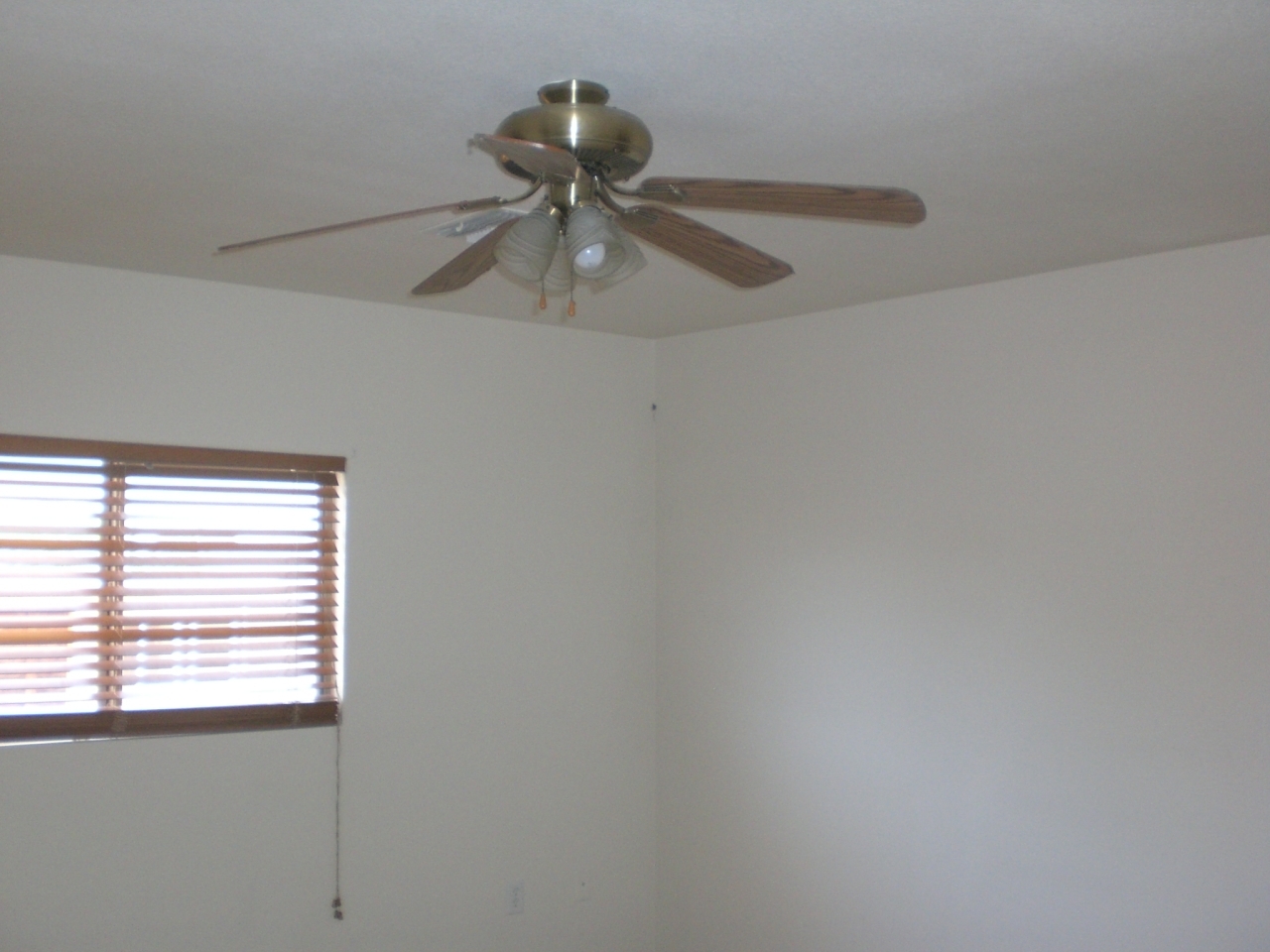 11622 West Bloomfield Road El Mirage, AZ 85335 - Photo 6 of 19 cimg0074