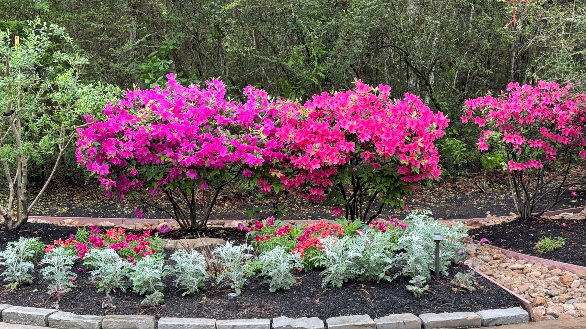 10 Riata Drive Magnolia, TX 77354 - Photo 10 of 48 These gorgeous azaleas are just one example of the plentiful professional plantings adorning this property.