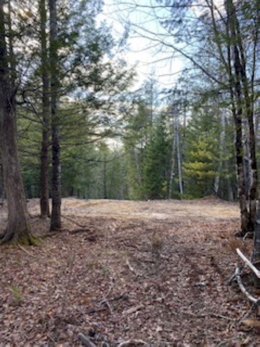 Lot 19 L15-3 Coburn Road Carthage, ME 04224 - Photo 7 of 14 IMG_2385_result