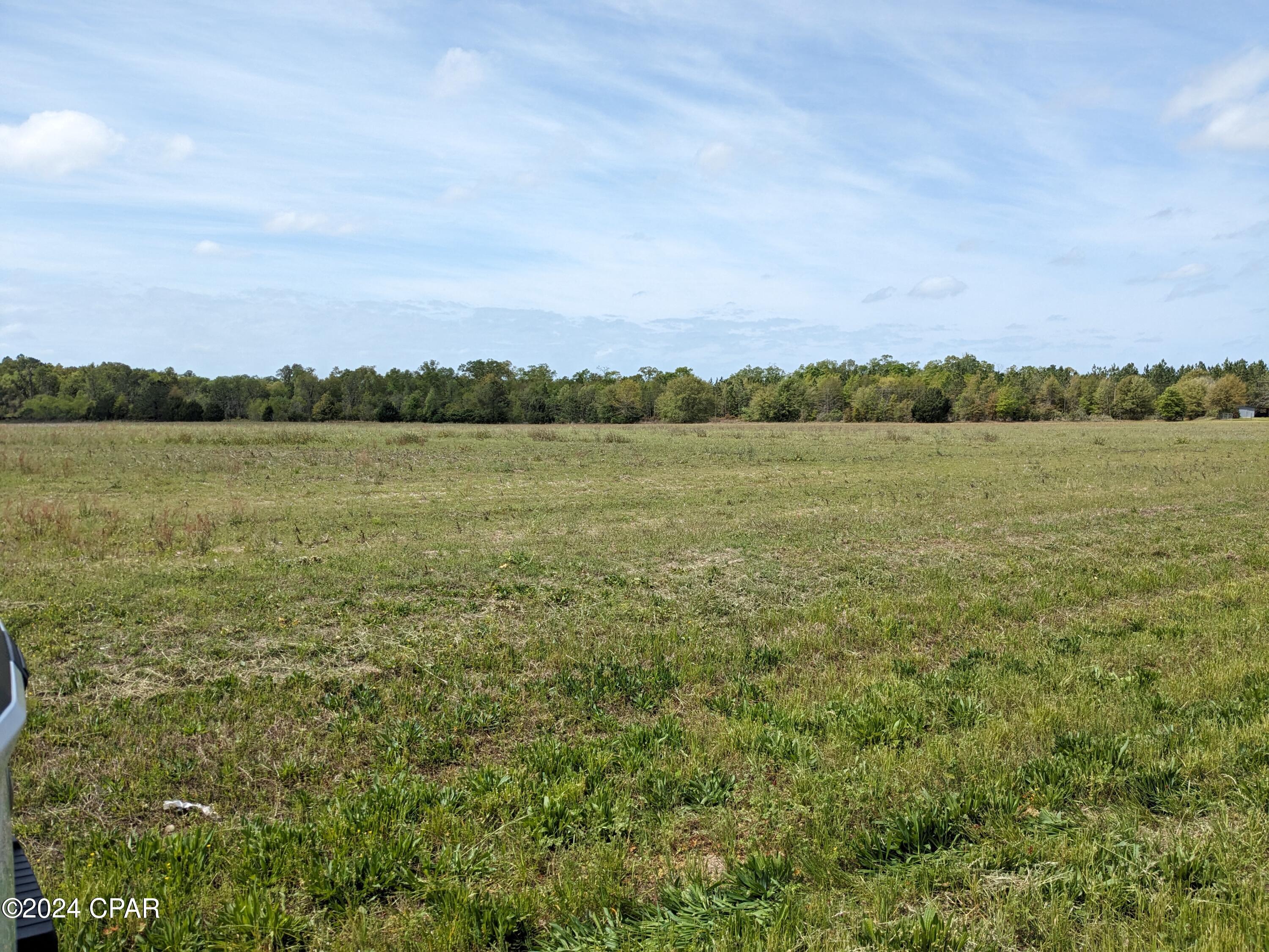 0 Fl-71 Malone, FL 32445 - Photo 4 of 8