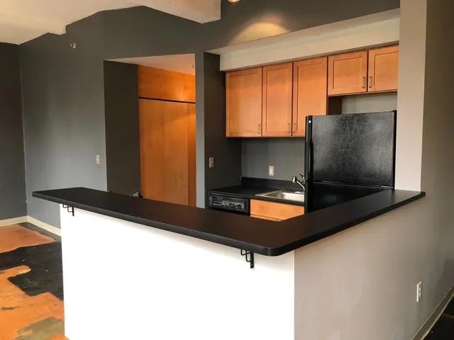 $85,900 | 488 Wabasha Street North, Unit 201, St. Paul, MN 55101