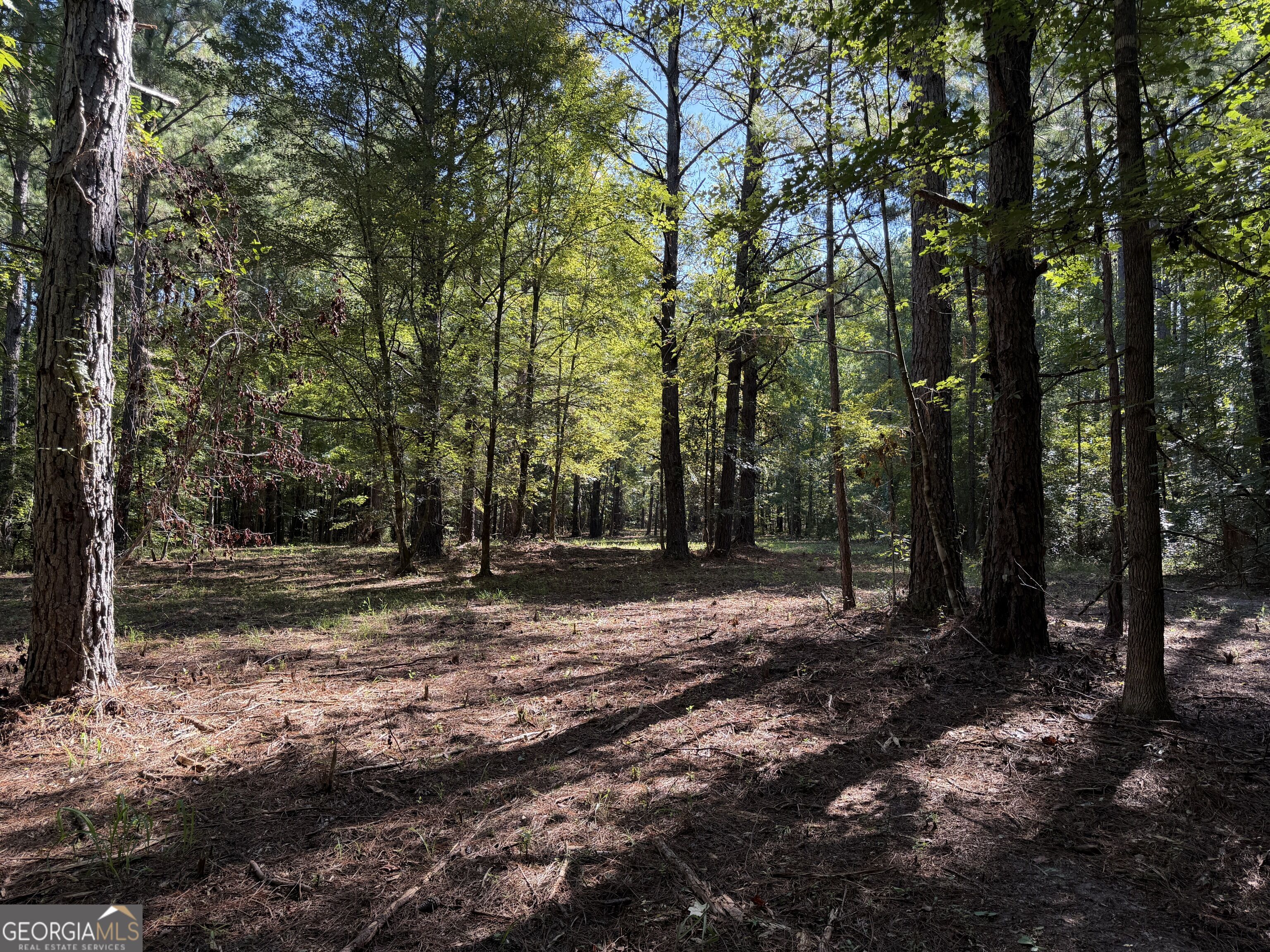 0 Pig Road Bartow, GA 30413 - Photo 11 of 44 Gallery Image 11