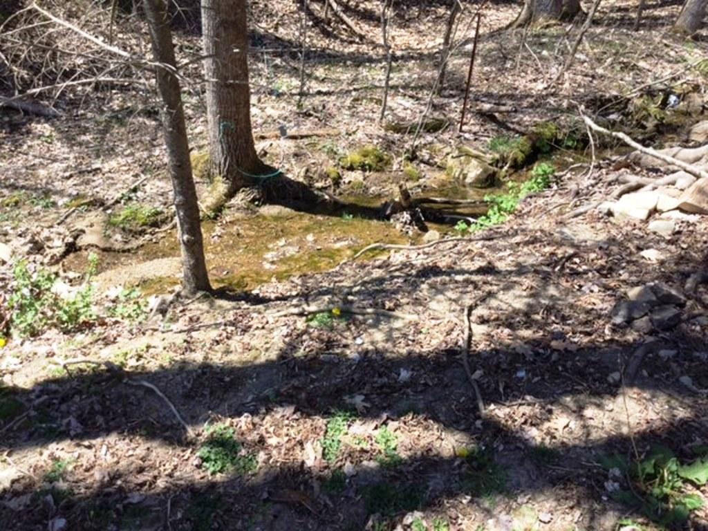2485 Bulldog Road Trade, TN 37691 - Photo 12 of 12 Little Brook