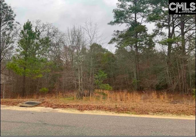 669 Clay Hill Road Pelion, SC 29123 - Photo 1 of 3