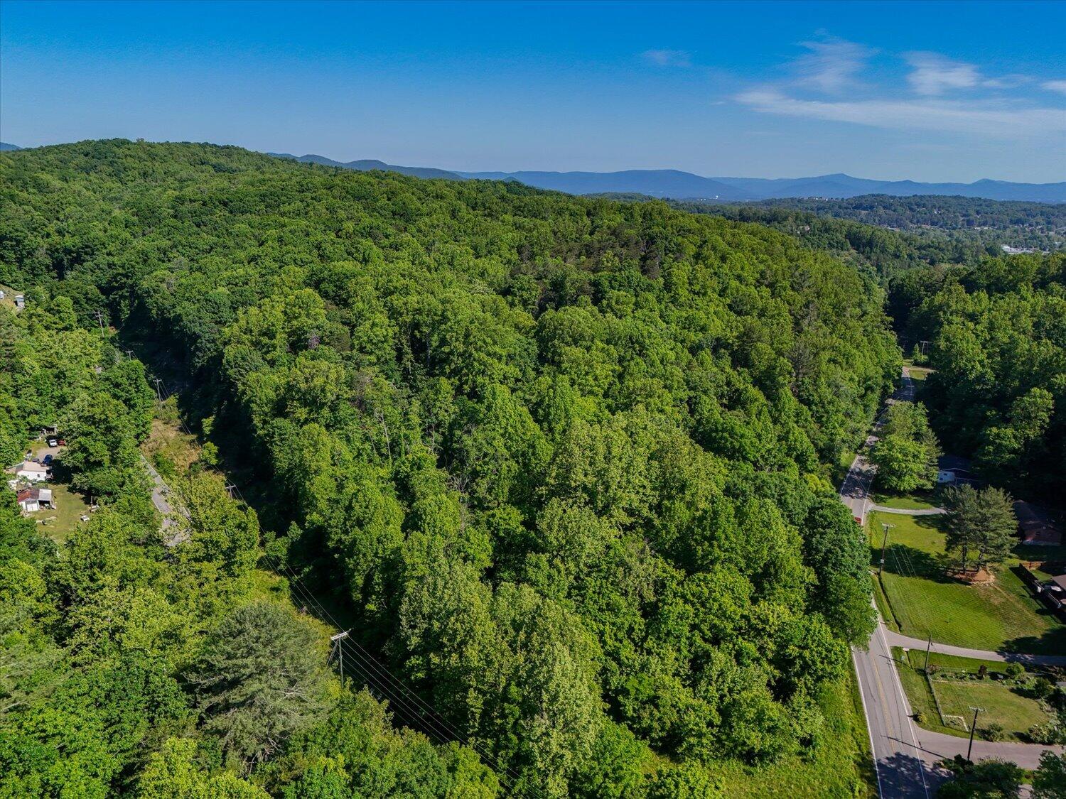0 Merriman Road Roanoke, VA 24018 - Photo 3 of 10 3-5-8