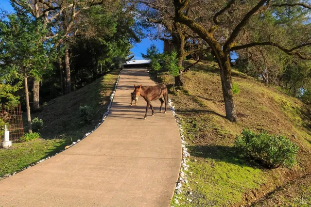 $2,199,000 | 19801 Kelly Road, Geyserville, CA 95441