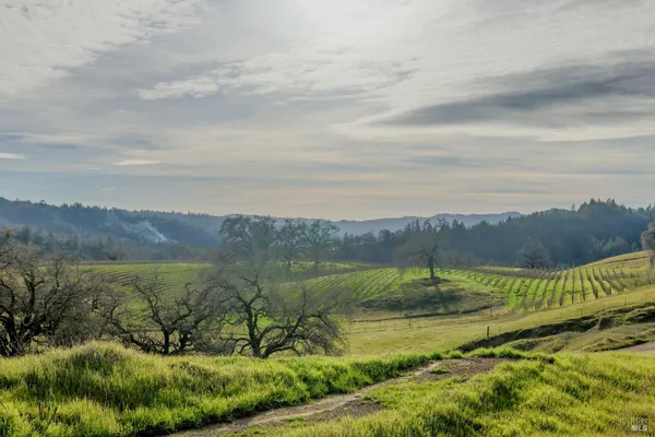 $2,199,000 | 19801 Kelly Road, Geyserville, CA 95441