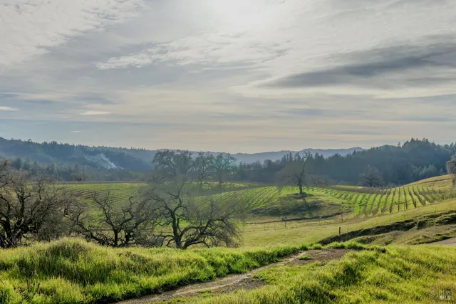 $2,199,000 | 19801 Kelly Road, Geyserville, CA 95441