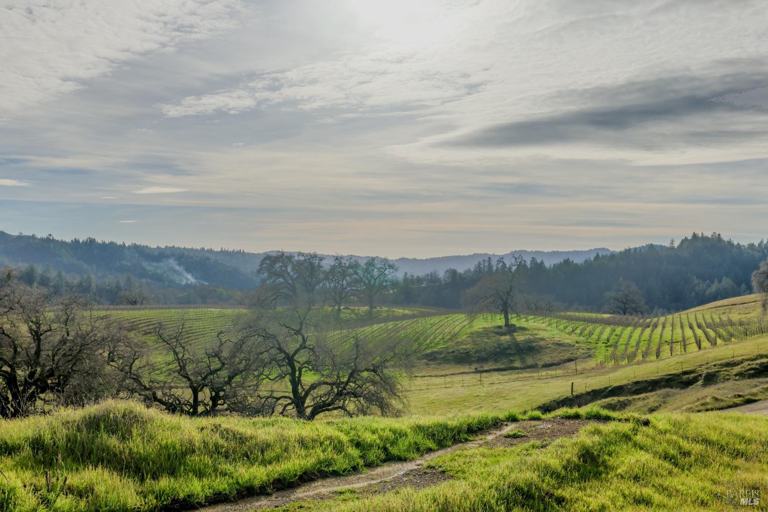 19801 Kelly Road Geyserville, CA 95441 - Photo 20 of 84 Photo taken on drive in to Kelly Rd entrance (photo not taken from, nor is photo of, the subject property)