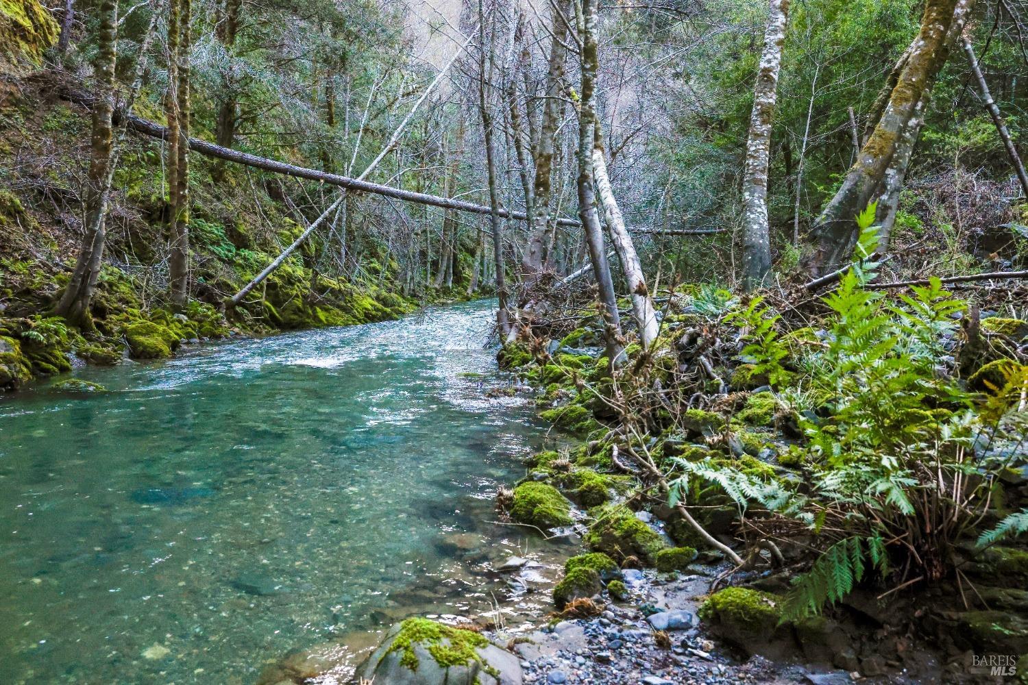 19801 Kelly Road Geyserville, CA 95441 - Photo 2 of 84