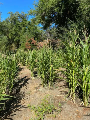 $2,199,000 | 19801 Kelly Road, Geyserville, CA 95441