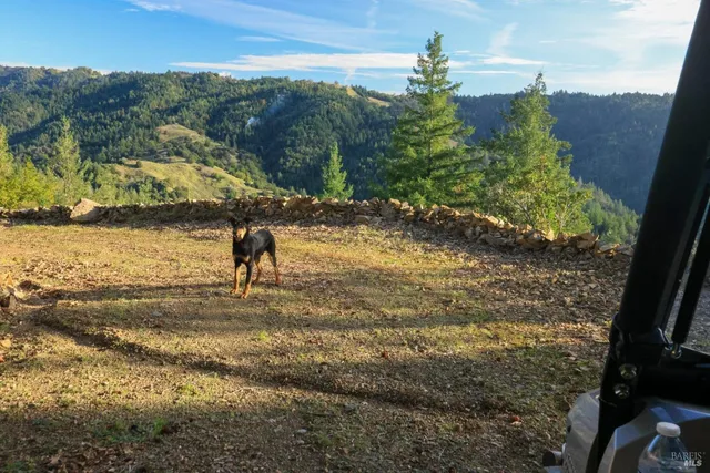 $2,199,000 | 19801 Kelly Road, Geyserville, CA 95441