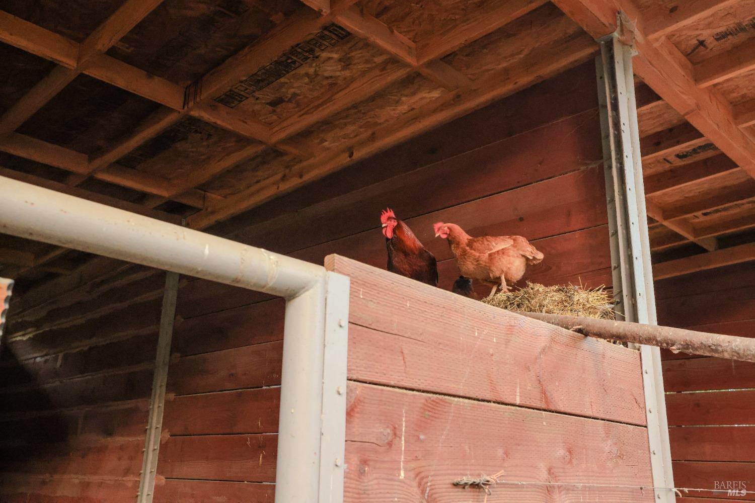 19801 Kelly Road Geyserville, CA 95441 - Photo 51 of 84