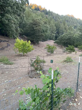 $2,199,000 | 19801 Kelly Road, Geyserville, CA 95441