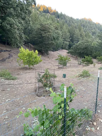 $2,199,000 | 19801 Kelly Road, Geyserville, CA 95441