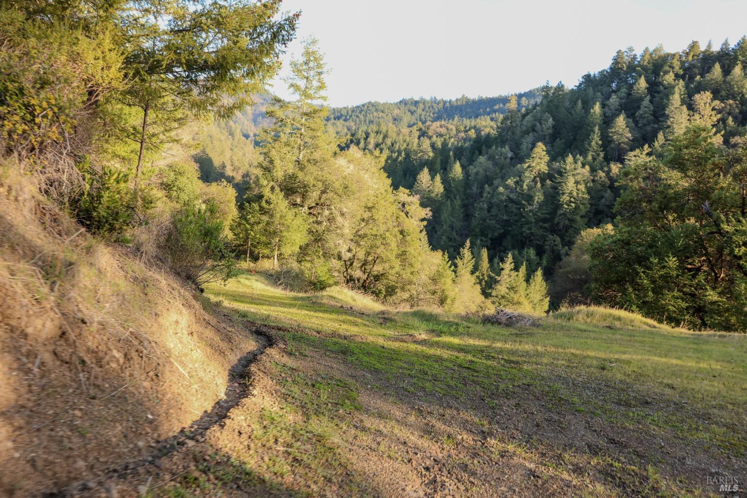 19801 Kelly Road Geyserville, CA 95441 - Photo 60 of 84