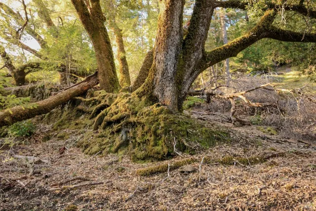 $2,199,000 | 19801 Kelly Road, Geyserville, CA 95441