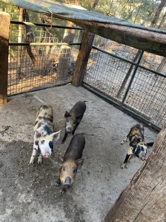 $2,199,000 | 19801 Kelly Road, Geyserville, CA 95441