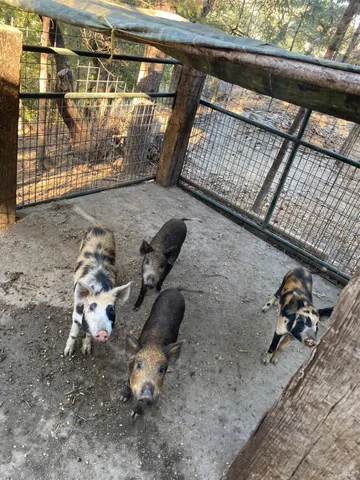 $2,199,000 | 19801 Kelly Road, Geyserville, CA 95441