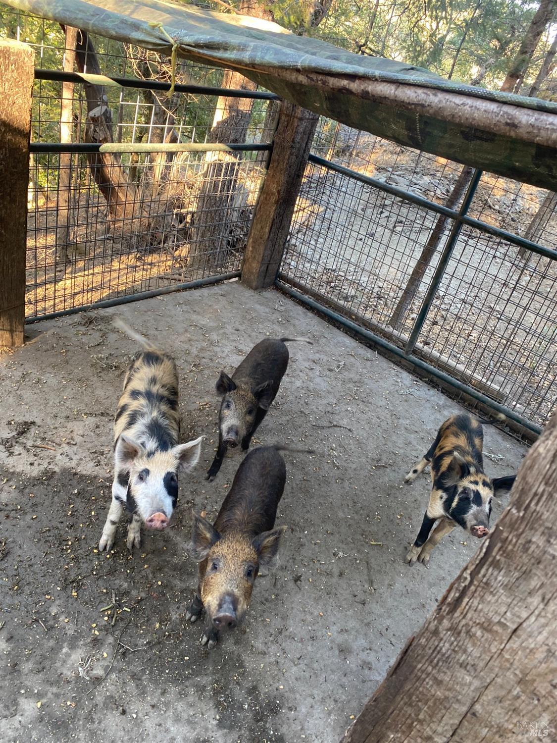 19801 Kelly Road Geyserville, CA 95441 - Photo 72 of 84