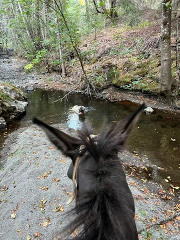 $2,199,000 | 19801 Kelly Road, Geyserville, CA 95441