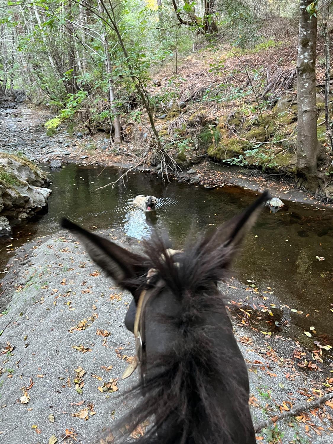 19801 Kelly Road Geyserville, CA 95441 - Photo 79 of 84