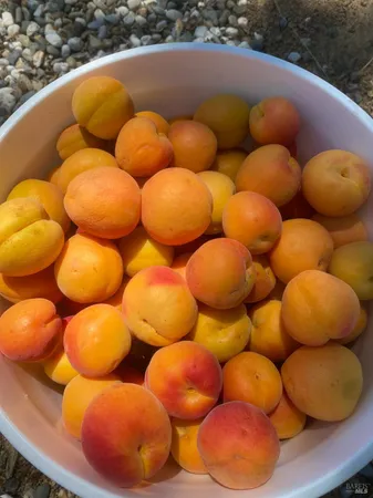 $2,199,000 | 19801 Kelly Road, Geyserville, CA 95441