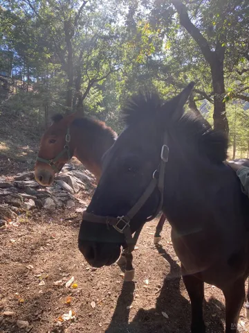 $2,199,000 | 19801 Kelly Road, Geyserville, CA 95441