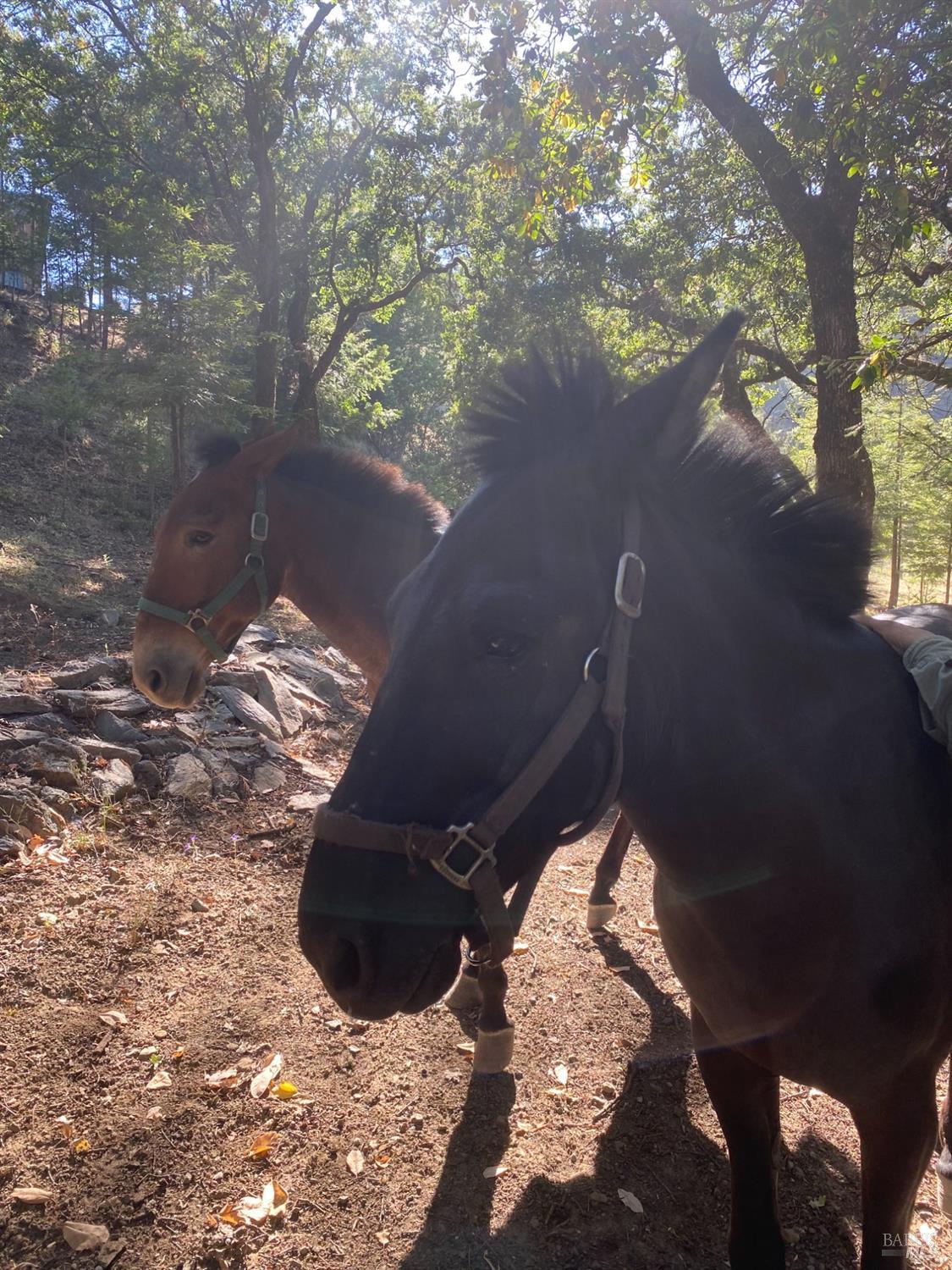 19801 Kelly Road Geyserville, CA 95441 - Photo 81 of 84