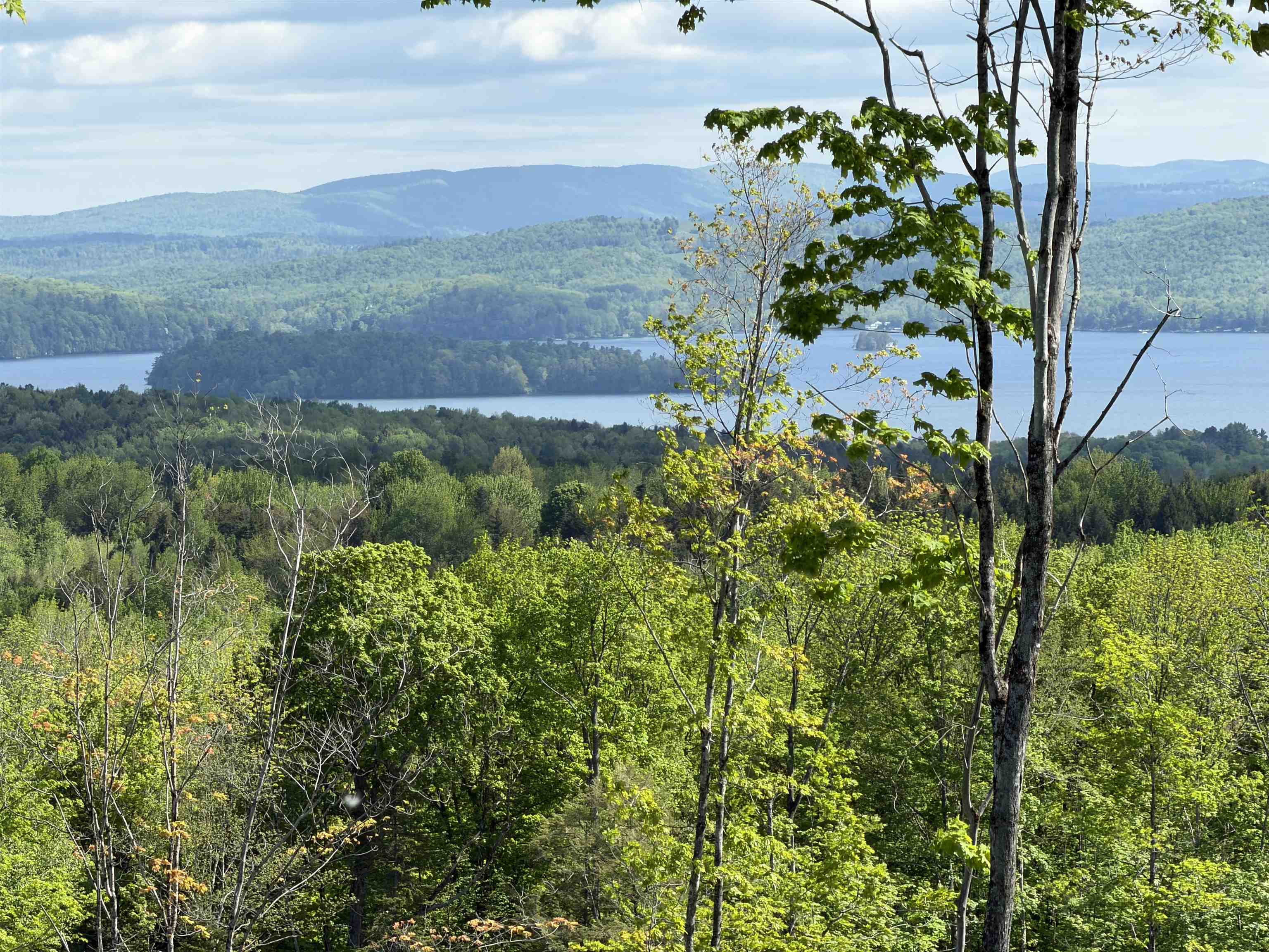 842 Gibbs Road, Unit LOT 1 Newport Town, VT 05857 - Photo 5 of 14