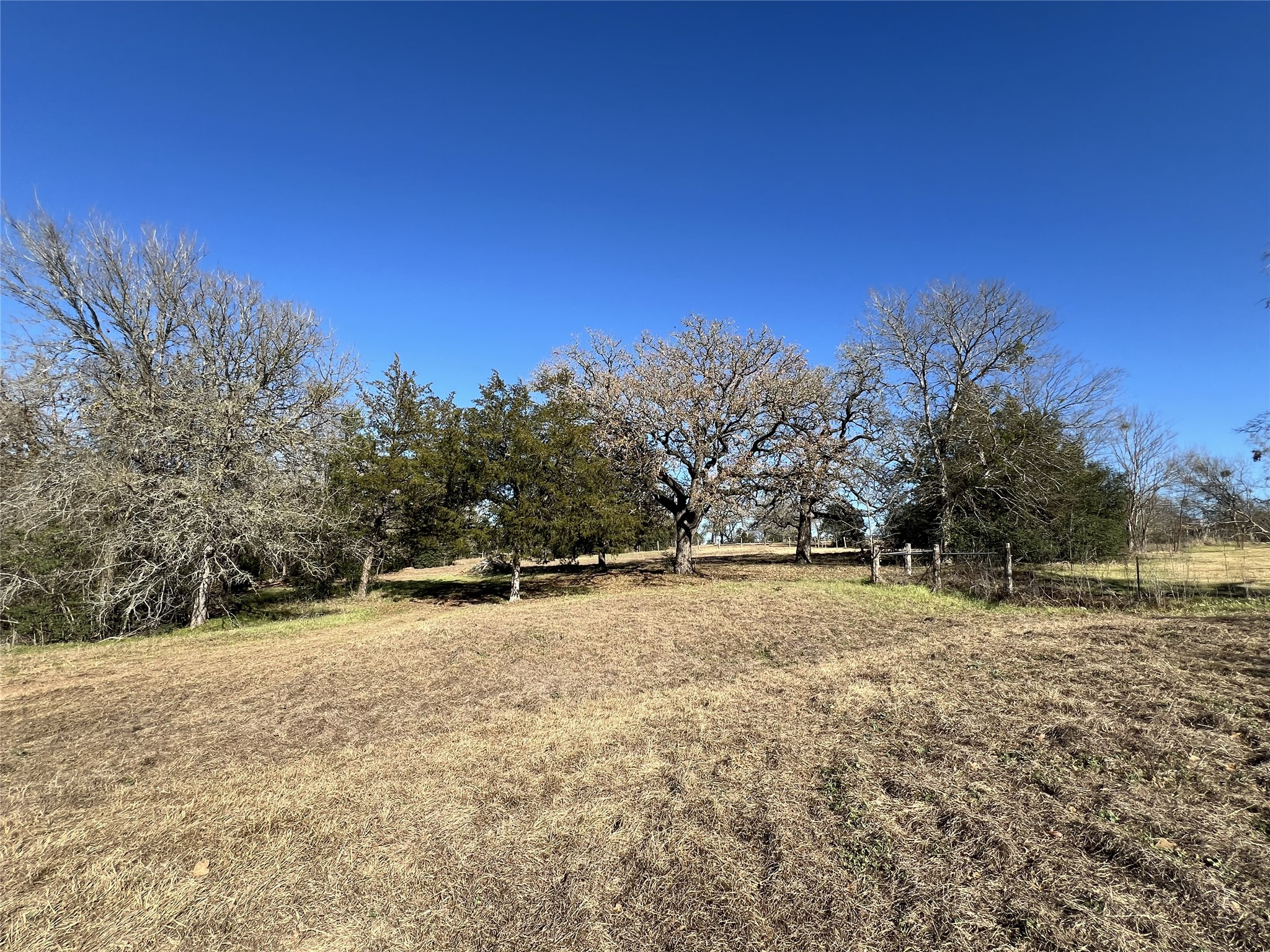 Tbd Rosanky Cattle Company Road Smithville, TX 78957 - Photo 22 of 40 a view of yard with trees in the background