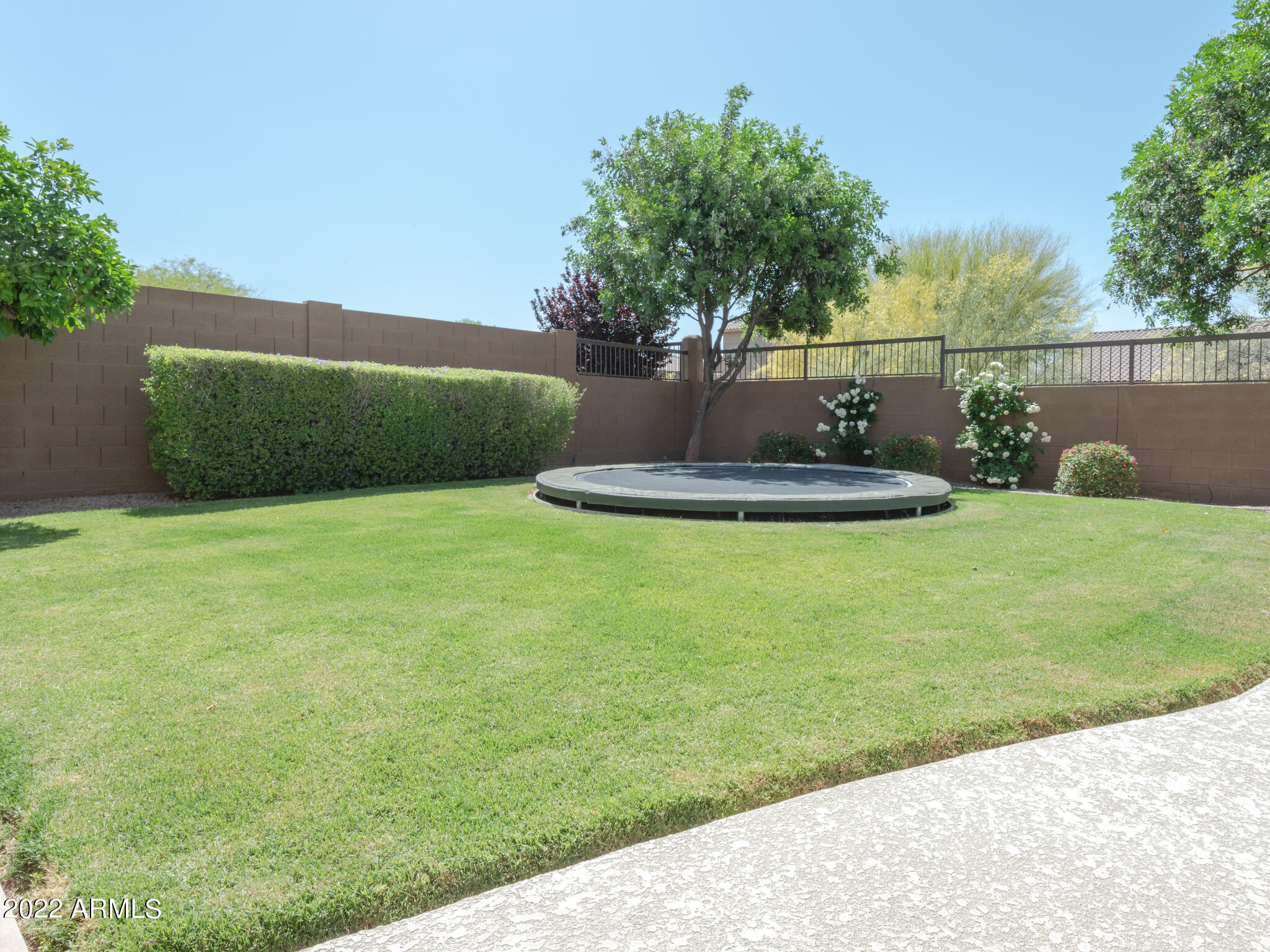 7357 East Rochelle Circle Mesa, AZ 85207 - Photo 35 of 55 7357 E Rochelle Circle 20220502-DSC_9076