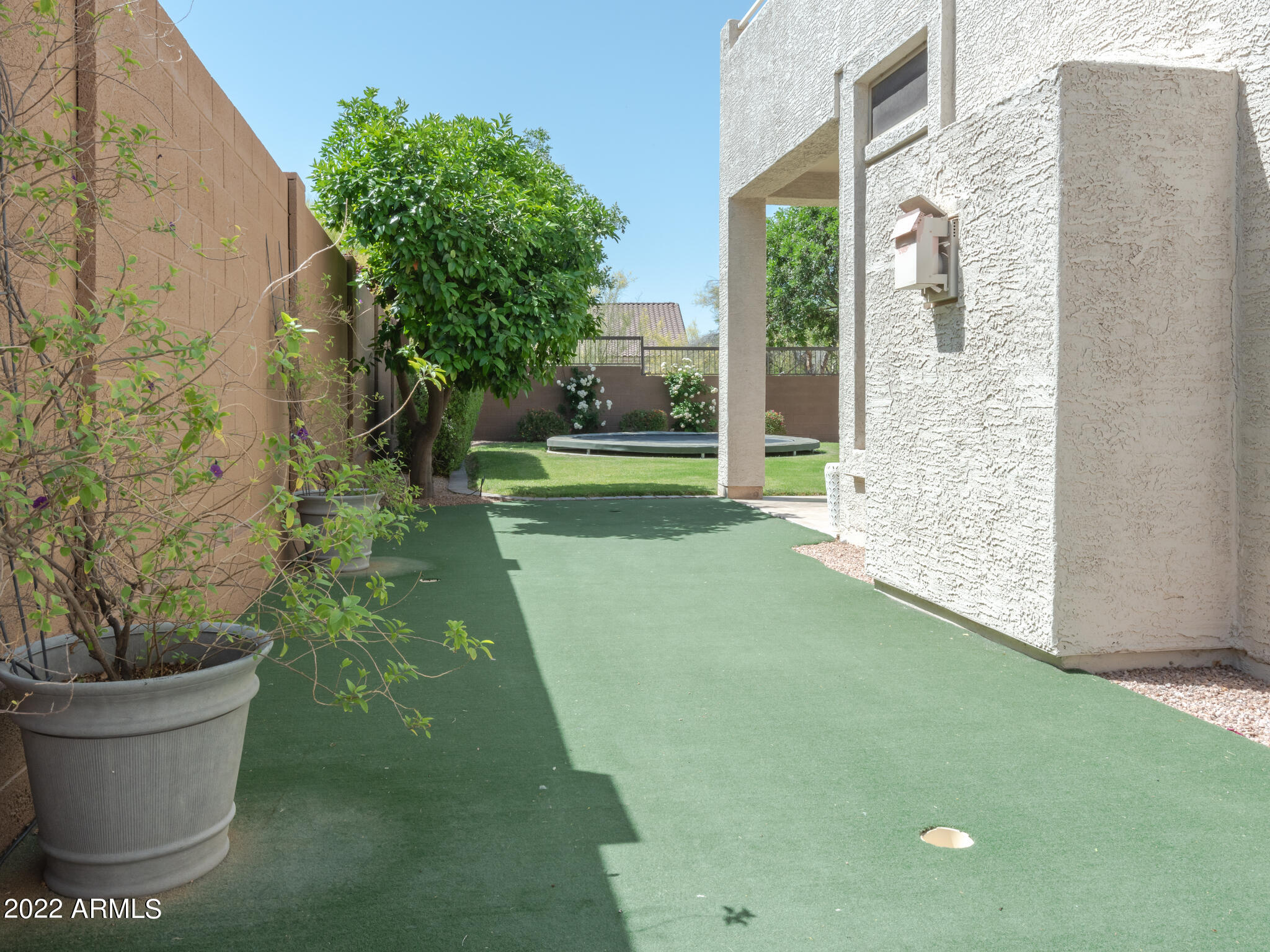 7357 East Rochelle Circle Mesa, AZ 85207 - Photo 46 of 55 7357 E Rochelle Circle 20220502-DSC_9086