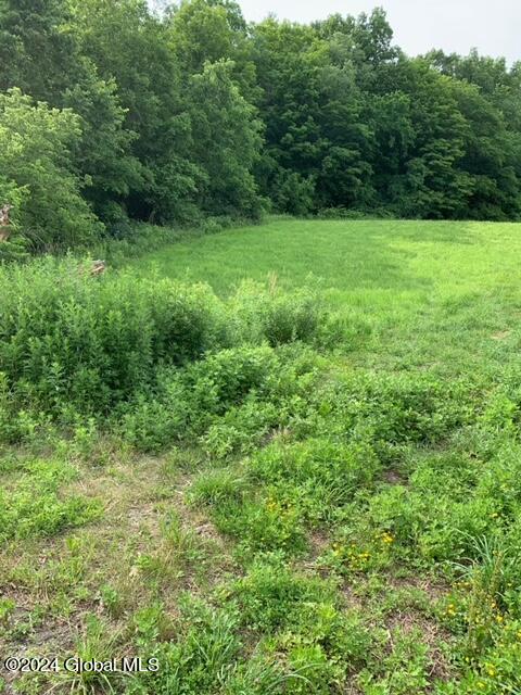 377 Tamarac Road Brunswick, NY 12180 - Photo 7 of 14 vl3