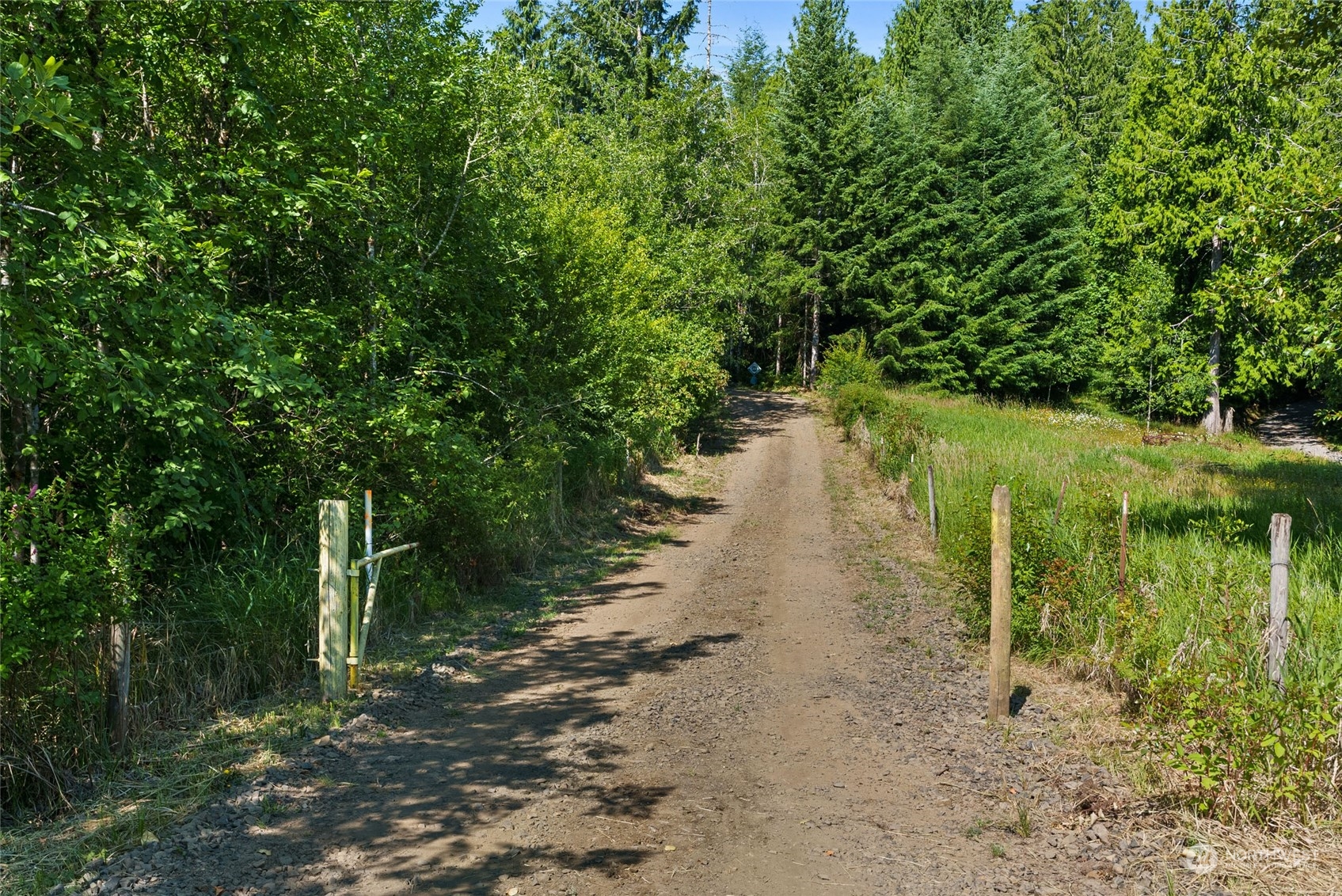 4 Bunker Creek Road Chehalis, WA 98532 - Photo 3 of 15 a view of a lake with a large trees