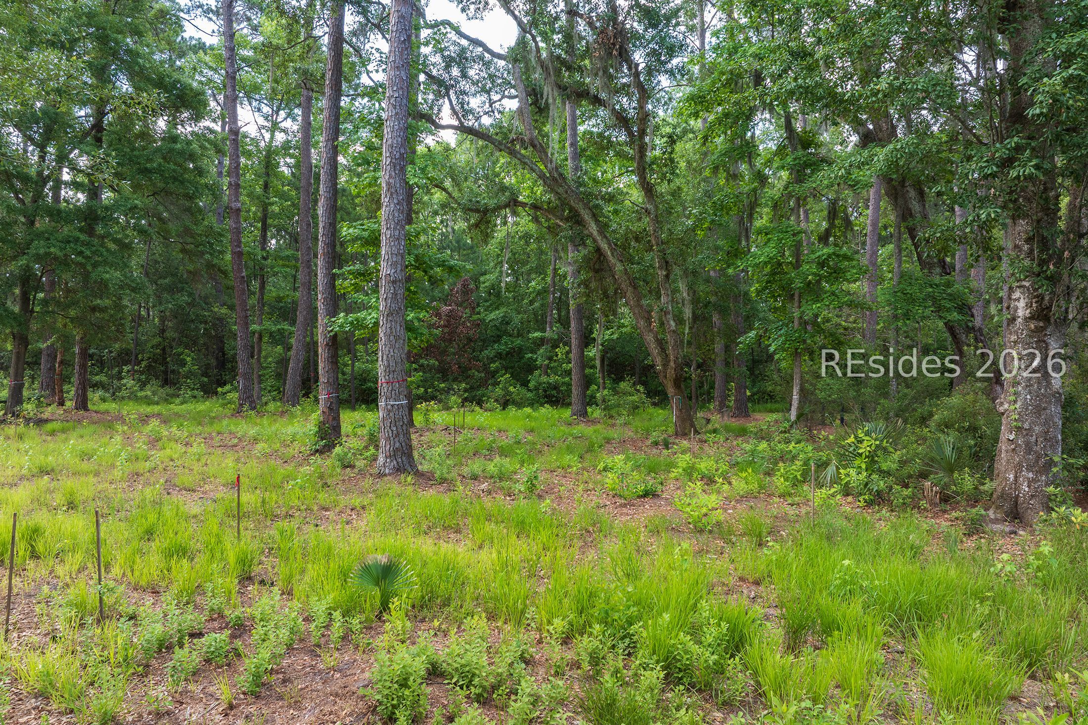 67 Lupine Road Bluffton, SC 29910 - Photo 8 of 19