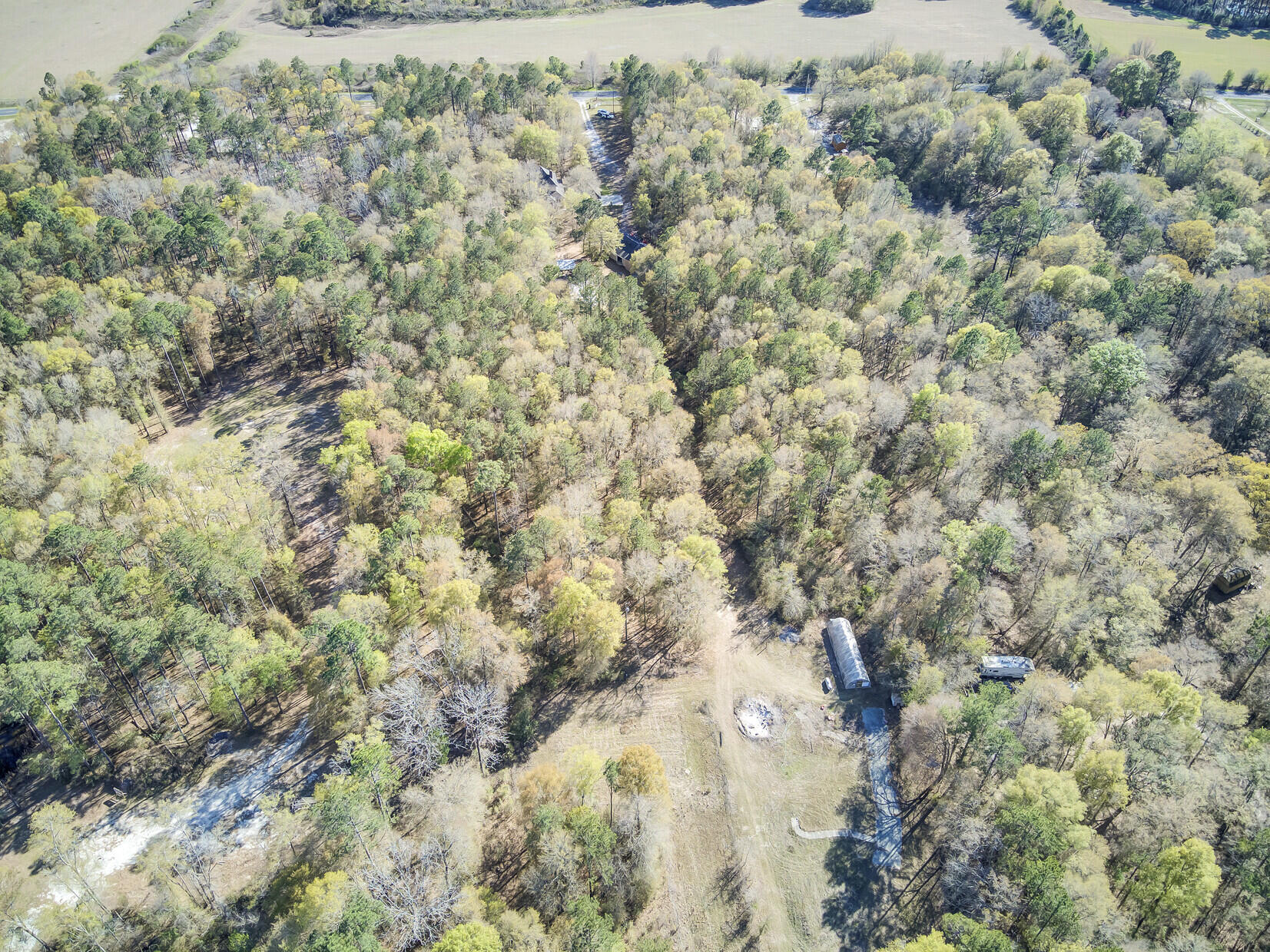1640 Wire Road Dorchester, SC 29437 - Photo 75 of 85 Wooded & Cleared Spaces