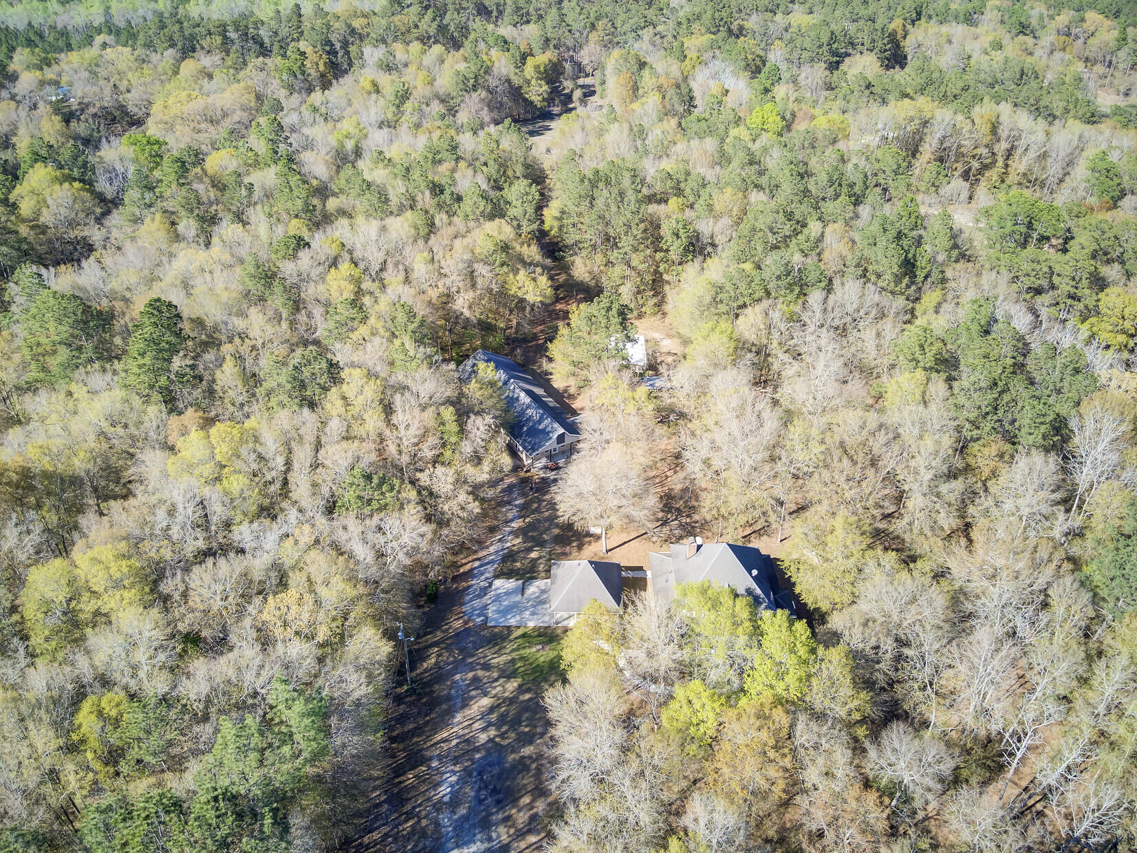 1640 Wire Road Dorchester, SC 29437 - Photo 78 of 85 Nature....