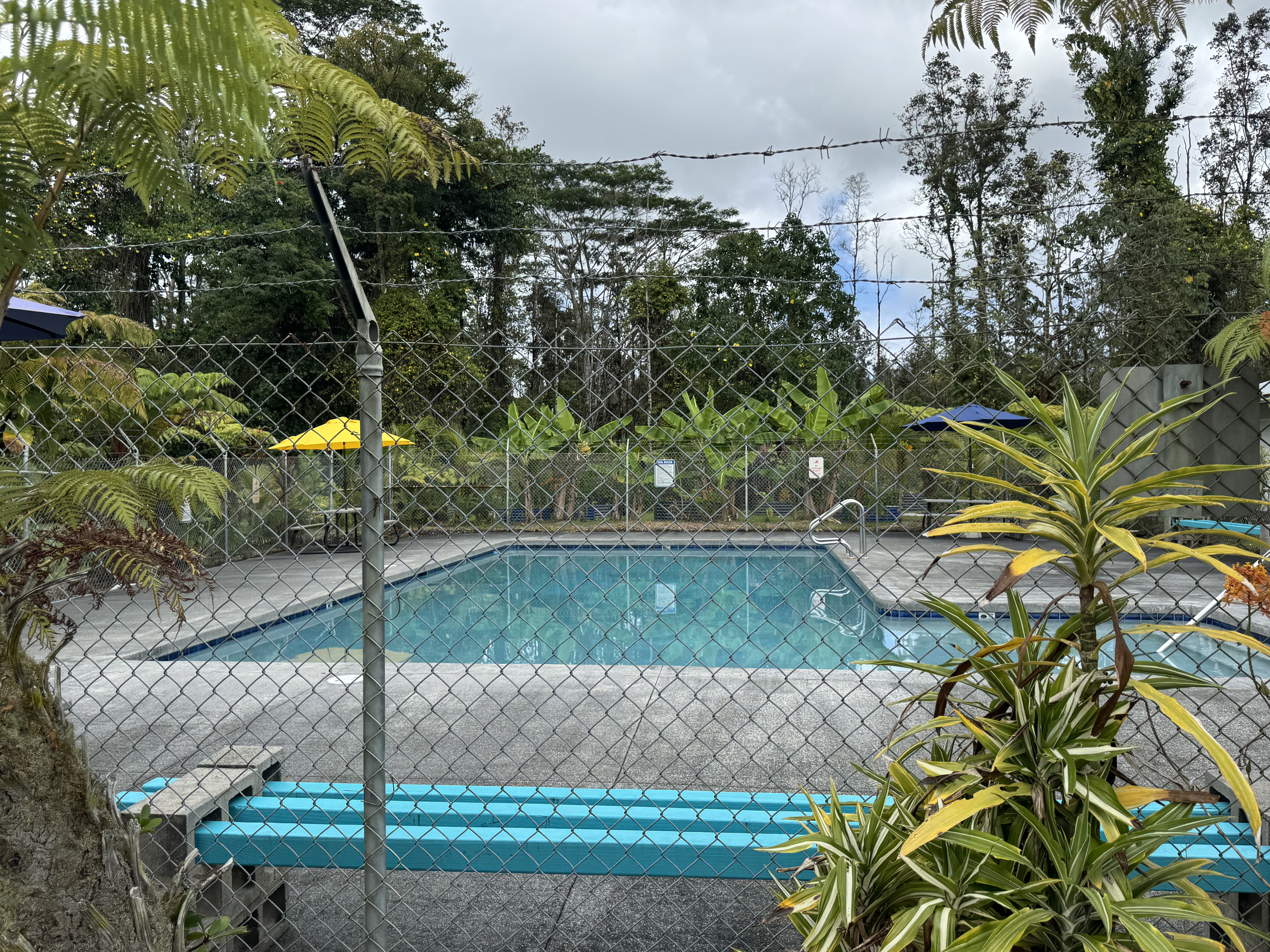 236 Pahoa Road Pahoa, HI 96778 - Photo 7 of 8