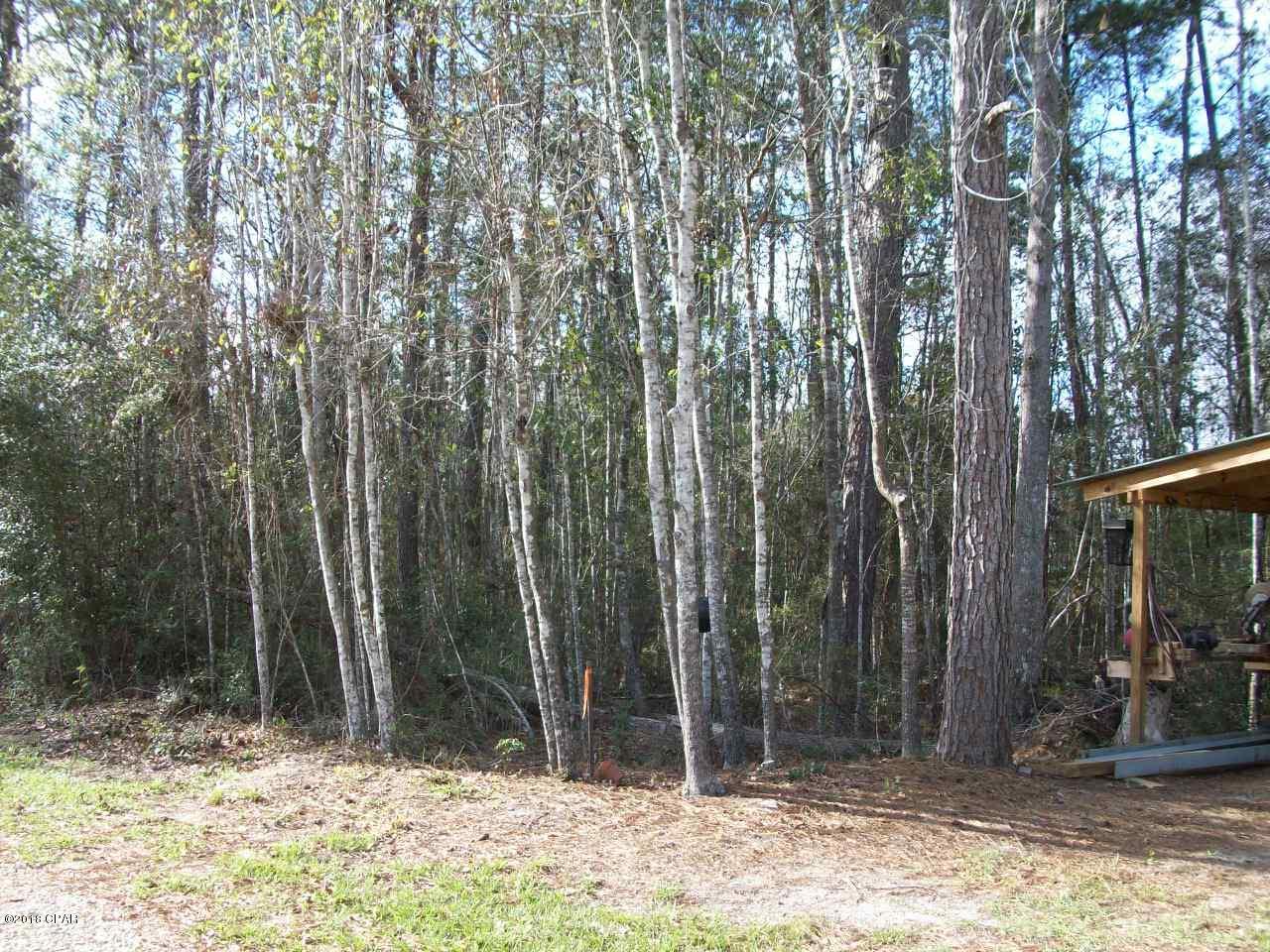 0 Swamp Haven Road Vernon, FL 32462 - Photo 7 of 15 Gallery Image 7