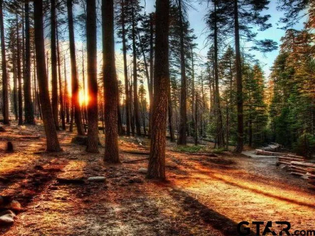 $199,900 | Lot 12 Acr 450, Montalba, TX 75853