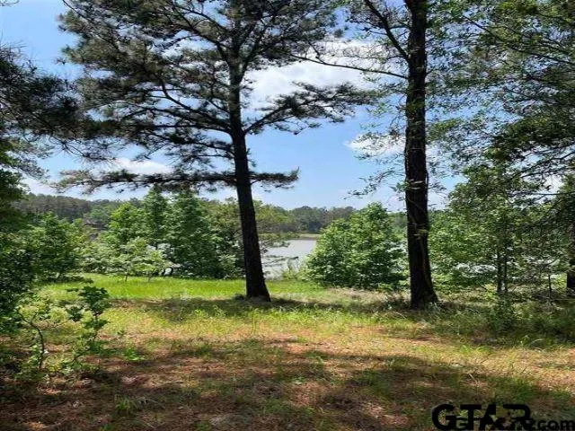 $199,900 | Lot 12 Acr 450, Montalba, TX 75853