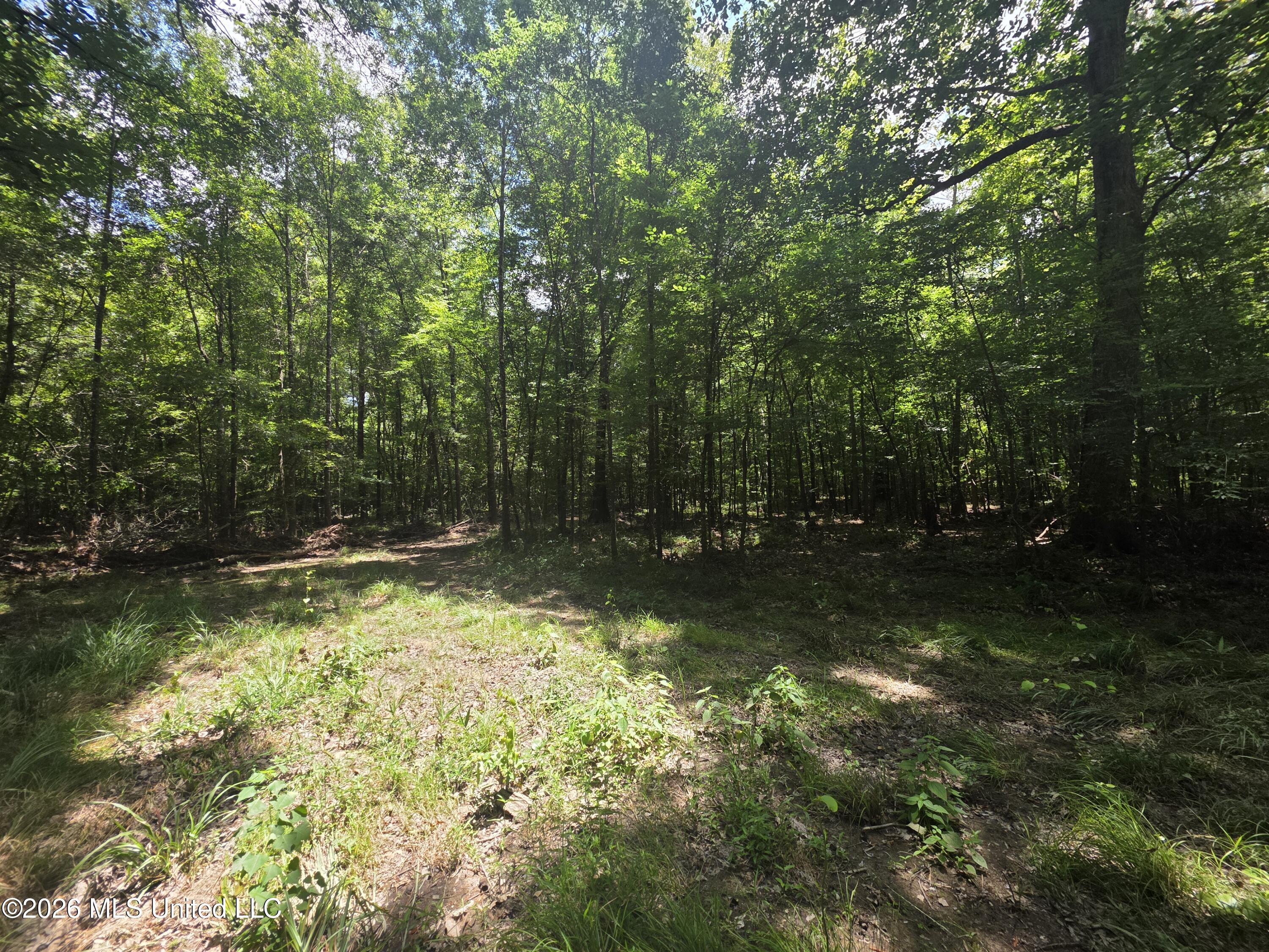 538 East Scrd Morton, MS 39117 - Photo 27 of 30 37122